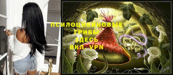 ALPHA-PVP Алексеевка
